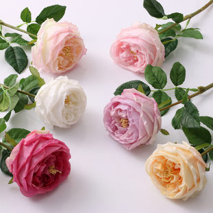 Simulation Flower Wet Wet Senior Austin Rose Wedding Decoration Flower Photo Table Swing Hot