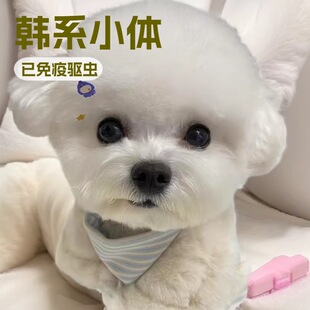 ����Ȯ��Ȯ���w���N�nϵС�w���B�豭ȮС�͌��ﹷ�w����������