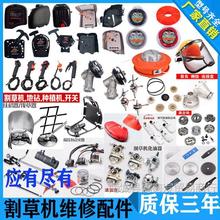 ݙCȫ_Pݹ^ؓܛSPݙCͨ