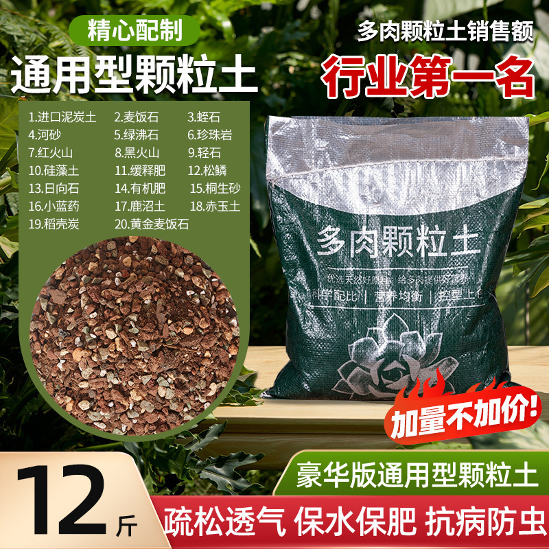 多肉植物粒土、特殊栄養土、医療石、一般花植物多肉植物土、カラフルな小石舗装|undefined