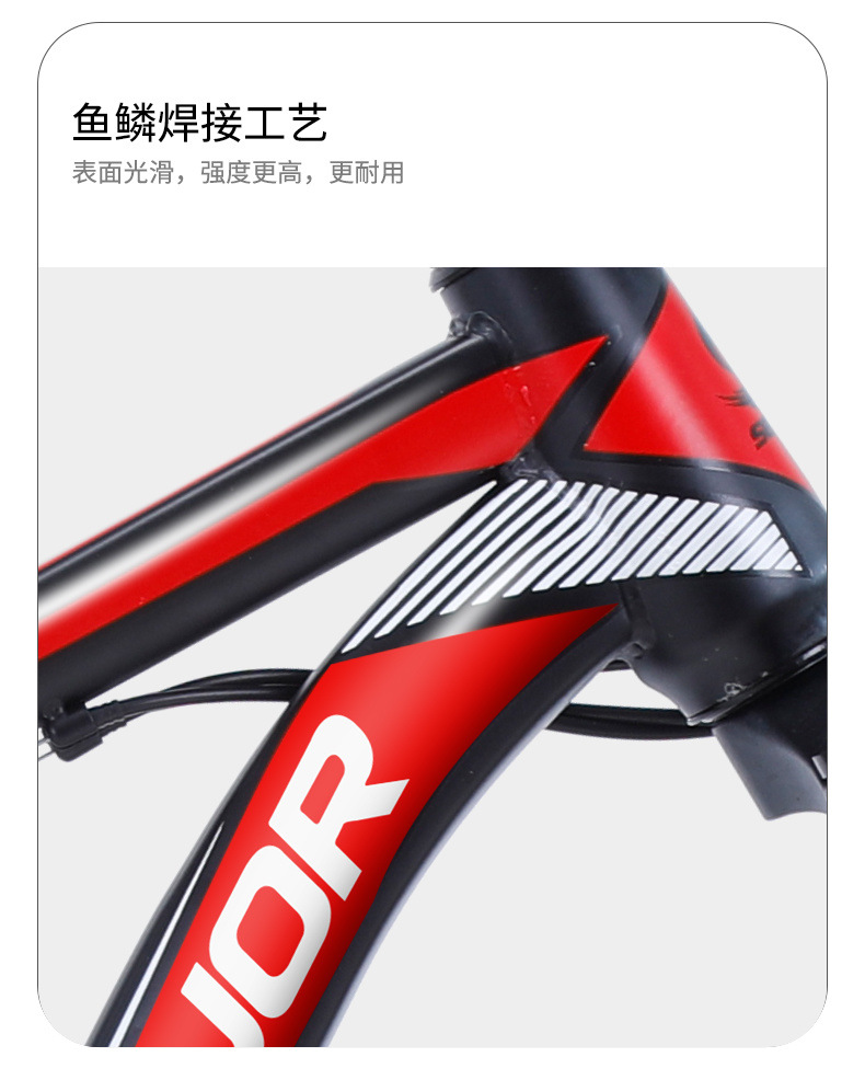 4a188b3a-1e37-4551-90a7-f2a5579075a1.jpe