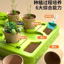 阳光花房儿童种植diy科学实验小学生套装植物生长观察盒物理玩具6