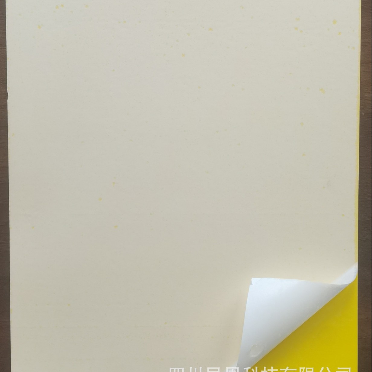 柑橘木虱信息素诱虫板防治柑橘木虱，有效阻击黄龙病