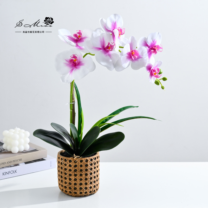 Da7 flores mariposa orquídea bonsai imitación de flores fabricantes directamente para decoración del hogar imitación de flores falsas en maceta ornamentos verdes image 11