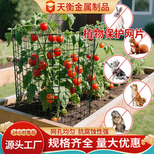 �羳ֲ�ﱣ�o�W��Ƭ�������ҧ�F�z�W��\DIY�����F�z�W��Ƭ