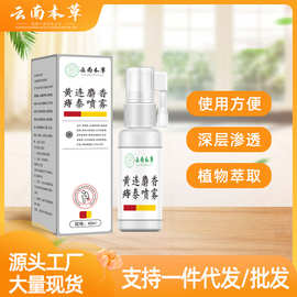 云南本草黄莲麝香痔泰喷雾痔疮敷料混外用痔立克膏厂家代发可批发