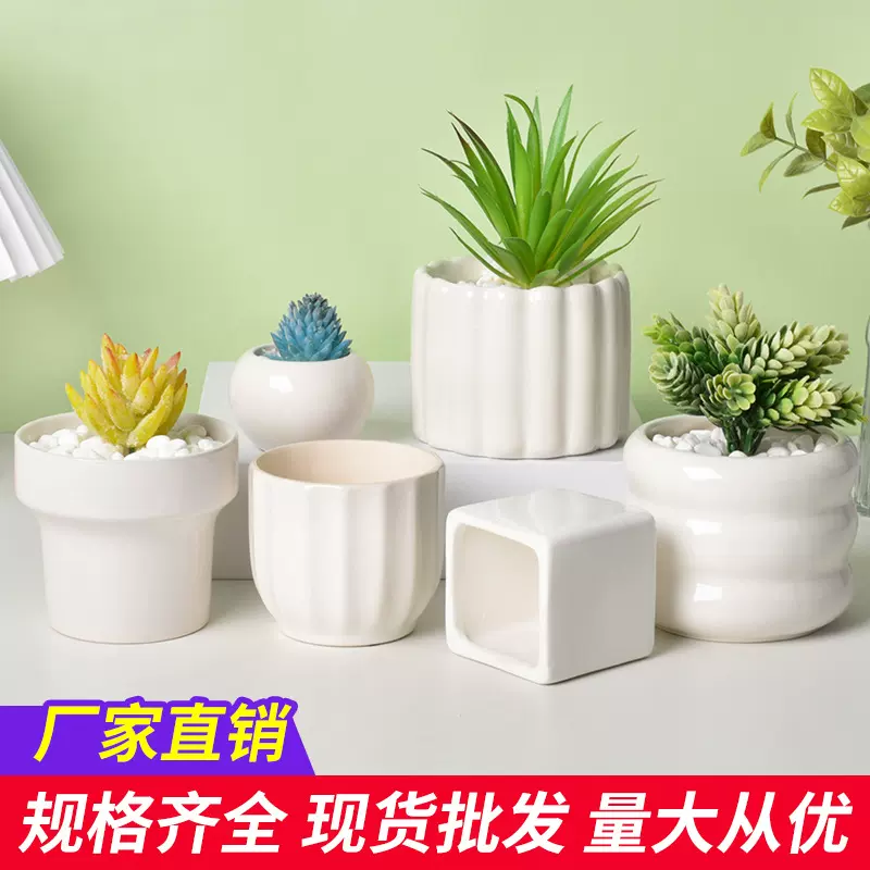 多肉白瓷花盆跨境陶瓷简约创意黑白色室内盆栽兰花绿植亚马逊家居