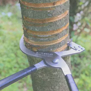 果树环拨刀环剥器枣树苹果树剥皮刀割树皮果树环割刀环剥钳工具可