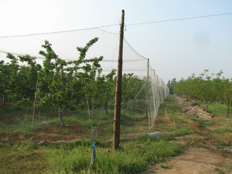 O1CN01jPdBgW2BMRM9xQhWp_!!3421