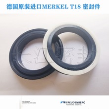 T 18 130-110-12.2 merkel 油封 德国 密封圈 迈克尔密封件