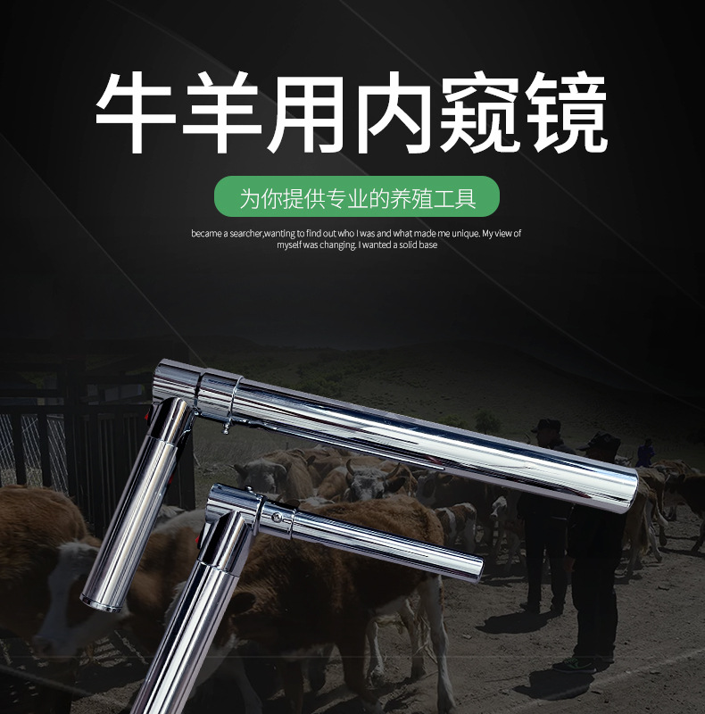 牛羊内窥镜详情(2)_01.jpg