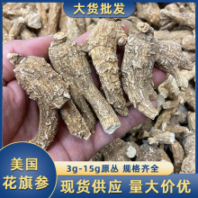 美国原丛花旗参批发足龄老参软质整枝多规格可选散装产地货源批发