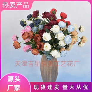 ���^�ᭇĵ�� ����ĵ���� �ٻ� ��c���� �廨��ș���ӼҔ[�