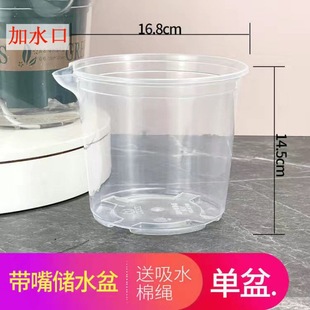 New Water-adding Lazy Flower Pot Automatic Water Absorbent Green Diet Plastic Hydroponic Green Diet Potted Plant Fleshy Potted Plant Water-free