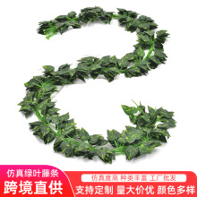 �����ٗl�Gɫֲ���ٗl�ܵ��b��ړ��Gֲ�l�����b����������~����