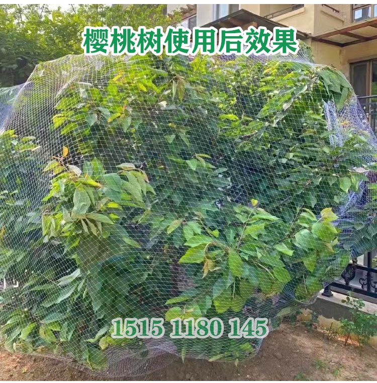 昌盈尼龙防鸟防鸟网用网果树樱桃梨树鱼塘大棚葡萄天网草莓果园养