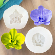 �����m������޹Ϟ�T���zģ�� �����ɿ����決�b���ģ��