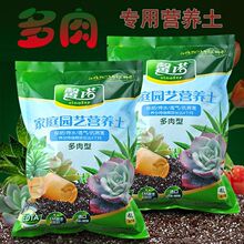 ����ֲ��Ӫ������̿����������������ֳ������ֲ������������һ��