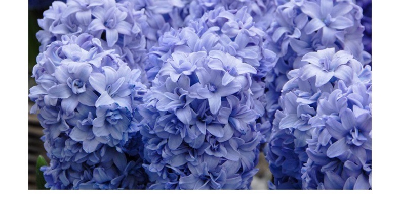 YJH_一键复制_20240722221433