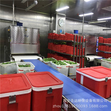 四川团餐配餐企业用微波盒饭加热设备 营养餐复热杀菌消毒一体机