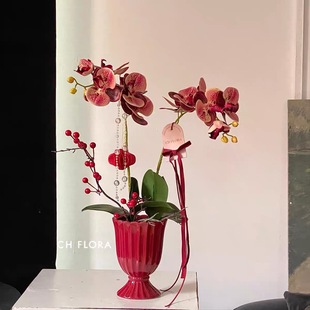 �մɻ�ƿ�����m�߼��Џ͹Ż����������´��ҾӲ��û鷿���w�Ҿ�