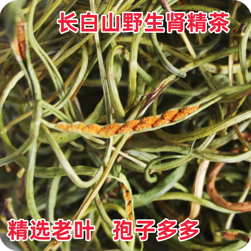 Shen Jing Cao Wild Tea Leaves 150g 3 Cans Dried Pyrrosia Leaf Herbal Infusion from Changbai Mountain key features