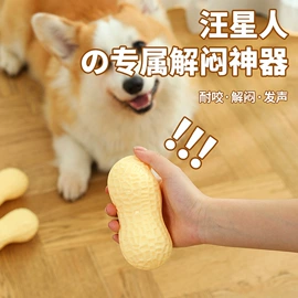 狗狗窝/笼/垫;猫猫玩具;猫猫窝/笼/垫