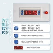 ֲ��N�Ӱlѿ��ȫ�Ԅ���ѿ�������N�C�������B�������a�ش�ѿ��