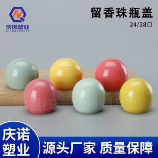 24���������w28���������w�Ӱ�A�����b�����w����Һ���������w