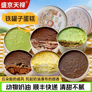 盛京天禄罐罐蛋糕巧克力味铁罐子蛋糕甜品零食包邮西式糕点食品