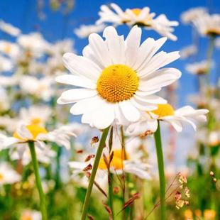 lСrշN_ױ軨NͺͥԺ̨pܷN