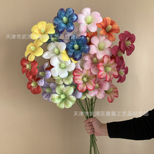 ��Ʒ���滨3�^���m��ľ�޻���Y�ñ�����T̨�廨��Y���������ٻ�