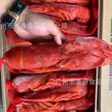 加拿大春季熟冻波士顿波龙冷冻大龙虾熟冻波龙350-400克约12只/件