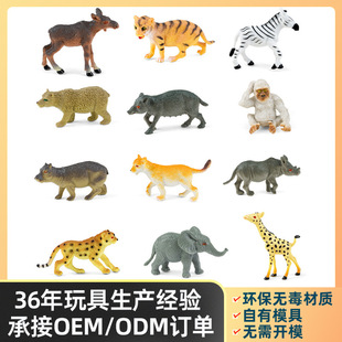 ����Ұ������ģ�����PVCӲ�z12�ϻ����R����Ϭţ�x��ֲ���ɫ