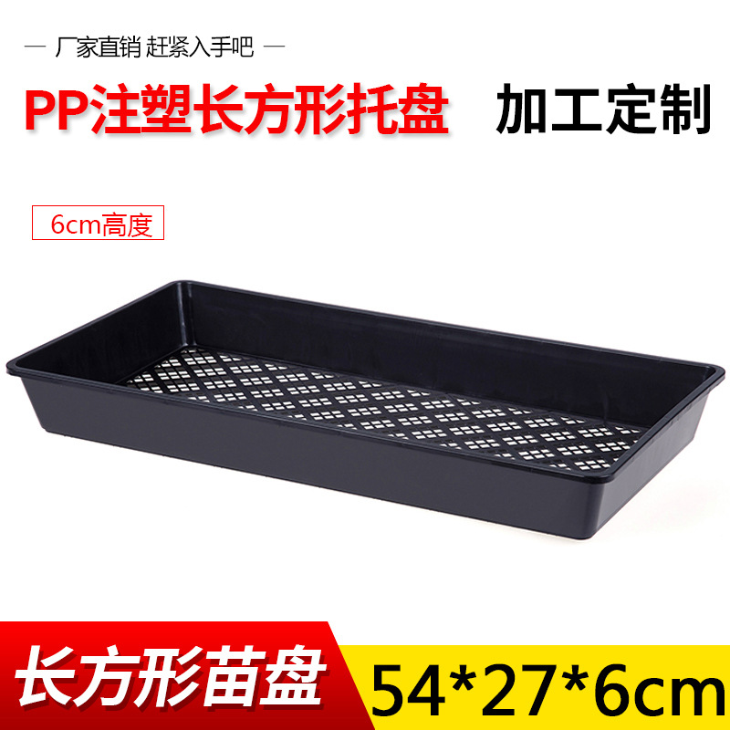 加工定制长方形平底育苗盘长方形芽苗菜育苗盘长方盘育秧盘育苗盘