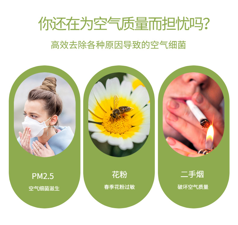 Manufacturers of Intelligent Car Air Purifier in Addition to Formaldehyde Air Purifier Desktop Purifier Speed Circulation Purifie