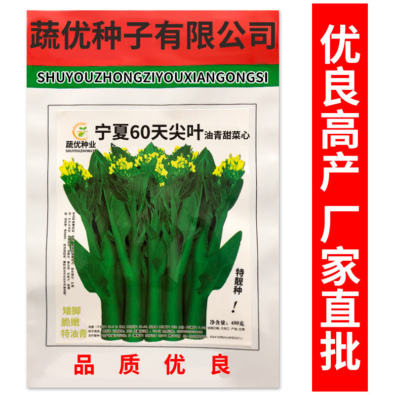 批发菜园蔬菜种子宁夏60天尖叶油青甜菜心400克阳台院子菜籽厂家