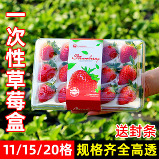 һ���Բ�ݮ���Ӱ��b��͸�����ϴ����ˮ�����b��ݮ�ĺ�����������