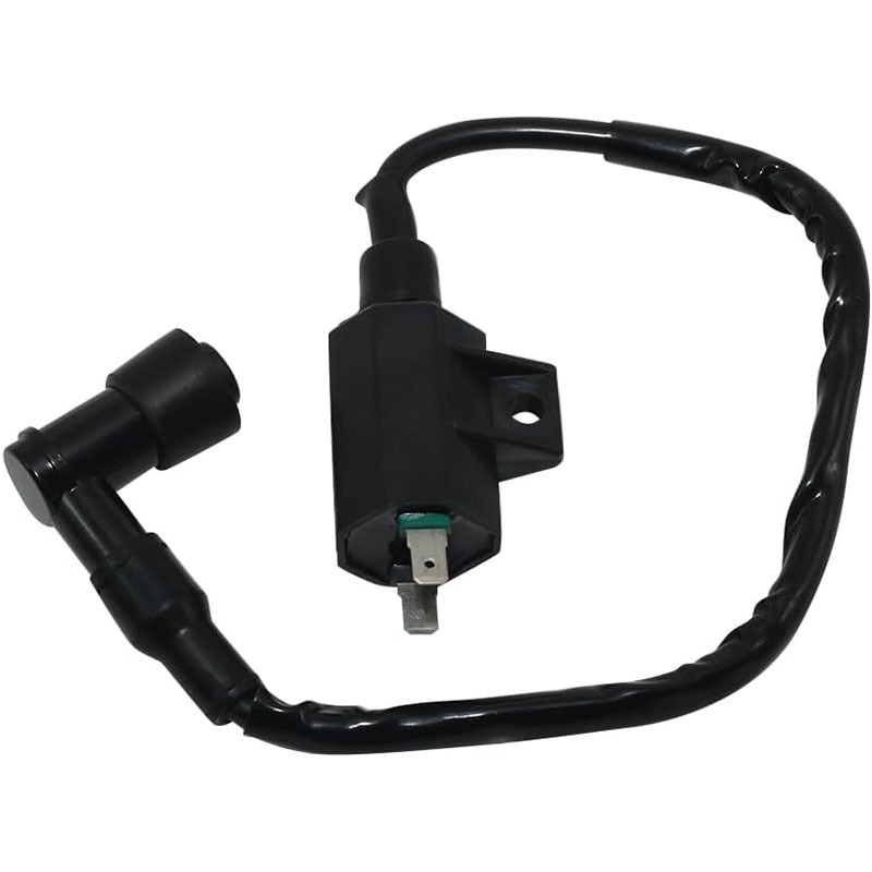 Kawasaki Atv Ignition Coil 21121-1160 21121-1198 for Kawasaki Klf220