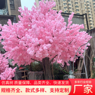 ����� �S�Ұl؛ �|������ ����Gֲ ���^�b� �����b� ����ֲ��