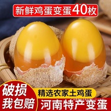 河南特产40枚正宗五香手工变蛋鸡皮蛋松花蛋无铅溏心皮蛋整箱包邮
