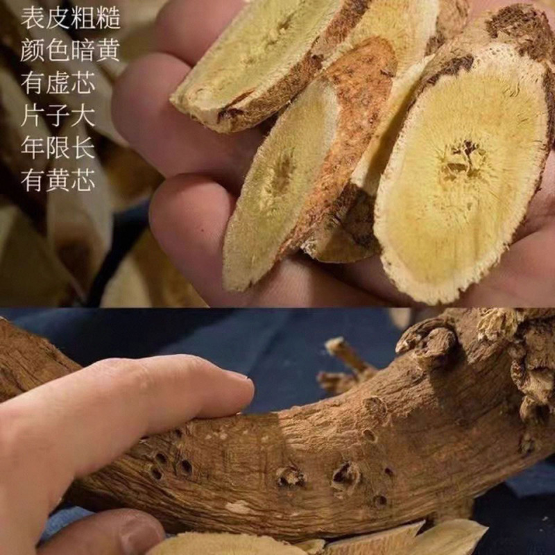 甘粛の野生の黄片を卸売りします。|undefined