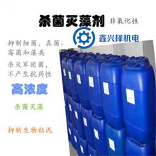 �ߝ�ȳ��P������ȥ�P�坍���P��X�~�T�F�������P��ϴ