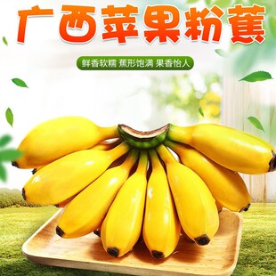 �����x���O���� ���r��ժ �خa�㽶��Ȼ��Fժ����۽��O���Ž���