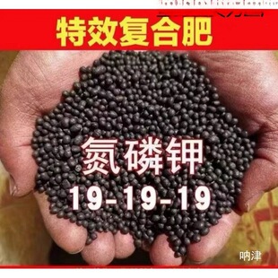 ʷ�����ͺϷʻ��ʻ��ʵ���⛾Gֲ���仨�ܠI�B����������ͨƿ�b