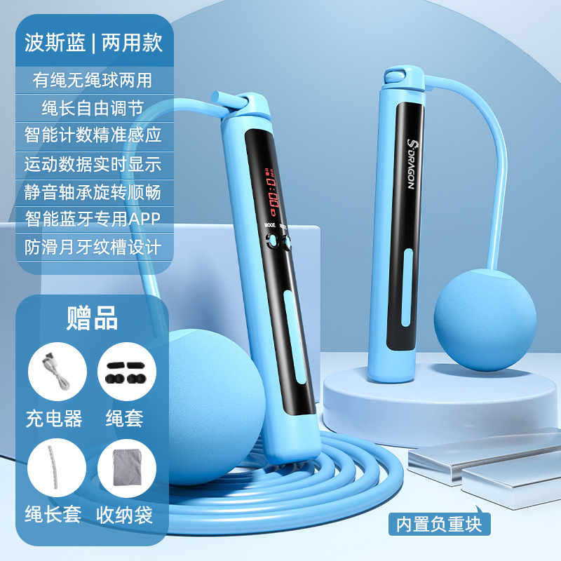 블루 (이중 사용) 큰 공