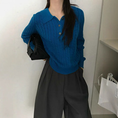 2025秋季新款毛衣蓝色麻花POLO领针织衫女慵懒高级感上衣秋冬女装