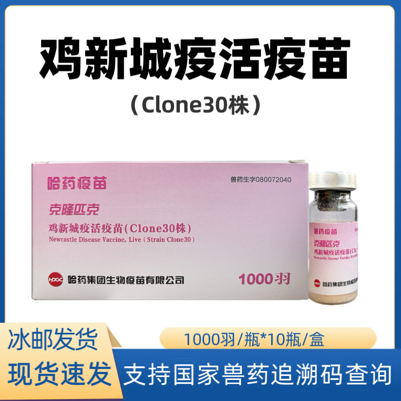 微信图片_20250429140655