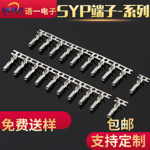SYP����SRY��Ƭ�B�����ӽӲ�����~�h ����a���Sֱ �N��ĸ����