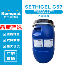���� SETHIGEL G57 �黯�� �۱�ϩ���c/C18-21��/ʮ���鴼����-6
